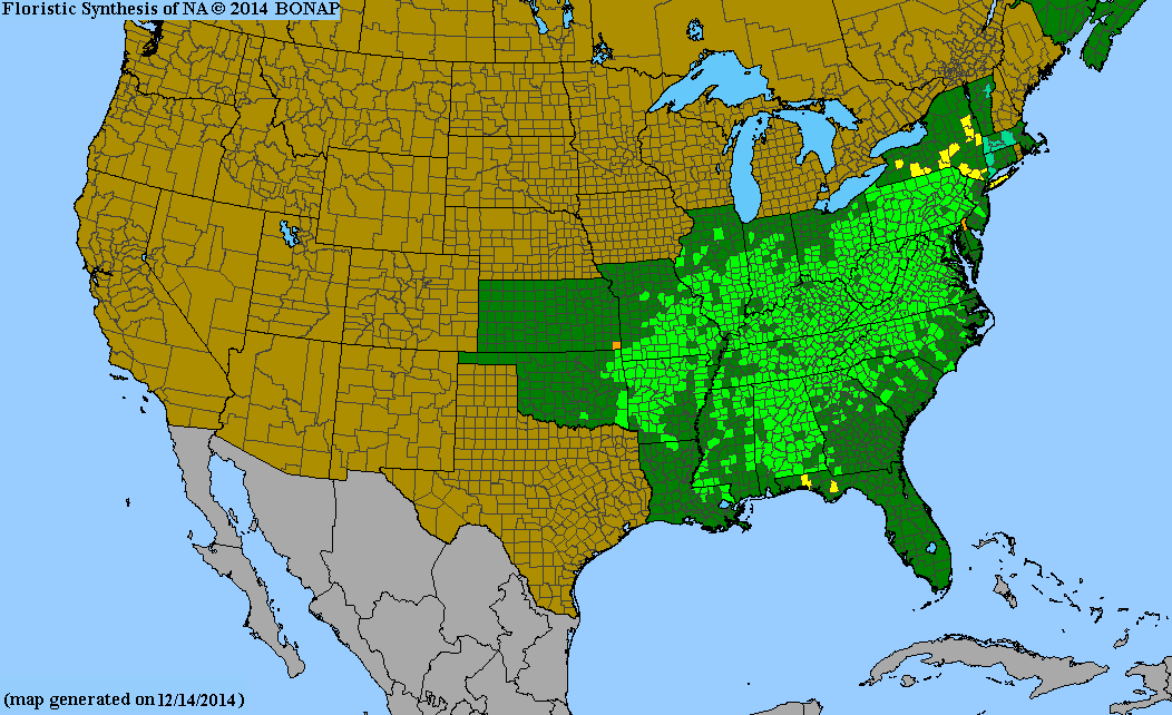 County distribution map of Hydrangea arborescens - Wild Hydrangea